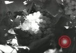Image of United States Military units United States USA, 1956, second 47 stock footage video 65675061664
