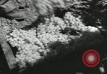 Image of United States Military units United States USA, 1956, second 49 stock footage video 65675061664