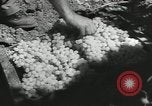 Image of United States Military units United States USA, 1956, second 50 stock footage video 65675061664