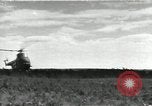 Image of United States Army Air Forces European Theater, 1956, second 1 stock footage video 65675061670