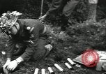 Image United States Army l'Europe, 1956, de la seconde 39 séquences d'archives historiques vidéo 65675061672
