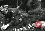 Image United States Army l'Europe, 1956, de la seconde 40 séquences d'archives historiques vidéo 65675061672