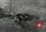 Standbild Vereinigten Staaten Truppen europäische Theater, 1956, aus Sekunde 6 historischem Filmmaterial Videoclip 65675061674