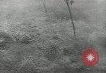 Standbild Vereinigten Staaten Truppen europäische Theater, 1956, aus Sekunde 10 historischem Filmmaterial Videoclip 65675061674