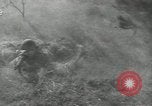 Standbild Vereinigten Staaten Truppen europäische Theater, 1956, aus Sekunde 17 historischem Filmmaterial Videoclip 65675061674