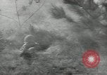 Standbild Vereinigten Staaten Truppen europäische Theater, 1956, aus Sekunde 34 historischem Filmmaterial Videoclip 65675061674
