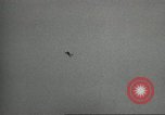 Image of United States Army Parachute Team United States USA, 1962, second 18 stock footage video 65675061681