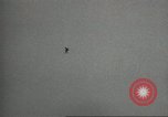 Image of United States Army Parachute Team United States USA, 1962, second 19 stock footage video 65675061681