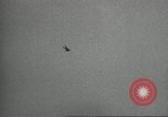 Image of United States Army Parachute Team United States USA, 1962, second 20 stock footage video 65675061681