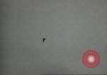 Image of United States Army Parachute Team United States USA, 1962, second 22 stock footage video 65675061681
