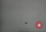 Image of United States Army Parachute Team United States USA, 1962, second 26 stock footage video 65675061681