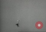 Image of United States Army Parachute Team United States USA, 1962, second 38 stock footage video 65675061681