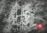 Image of United States Army Parachute Team United States USA, 1962, second 52 stock footage video 65675061681