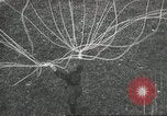 Standbild Kurze Geschichte der Fallschirme Europa, 1940, aus Sekunde 27 historischem Filmmaterial Videoclip 65675061683