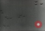 Image of US Airborne operations Europe, 1944, second 8 stock footage video 65675061685