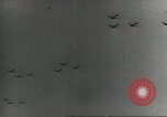 Image of US Airborne operations Europe, 1944, second 9 stock footage video 65675061685