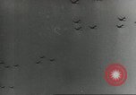 Image of US Airborne operations Europe, 1944, second 10 stock footage video 65675061685