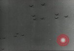 Image of US Airborne operations Europe, 1944, second 11 stock footage video 65675061685