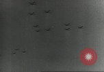 Image of US Airborne operations Europe, 1944, second 12 stock footage video 65675061685