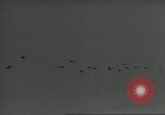 Image of US Army Airborne training activities United States USA, 1956, second 34 stock footage video 65675061686