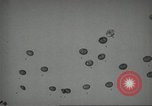 Image of US Army Airborne training activities United States USA, 1956, second 54 stock footage video 65675061686