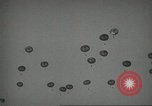Image of US Army Airborne training activities United States USA, 1956, second 55 stock footage video 65675061686