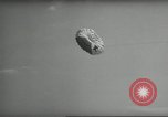 Image of Jupiter C Missile Fort Bragg North Carolina USA, 1962, second 54 stock footage video 65675061687