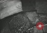 Image of Skydiver's view from airplane United States USA, 1962, second 40 stock footage video 65675061689