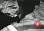 Image Nous manoeuvres de parachutage aéroportée United States USA, 1962, de la seconde 47 séquences d'archives historiques vidéo 65675061690