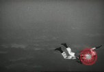 Image l'équipe de parachutistes de l'Armée américaine United States USA, 1962, de la seconde 25 séquences d'archives historiques vidéo 65675061691