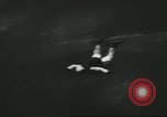 Image l'équipe de parachutistes de l'Armée américaine United States USA, 1962, de la seconde 26 séquences d'archives historiques vidéo 65675061691