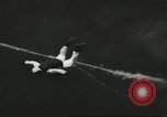 Image l'équipe de parachutistes de l'Armée américaine United States USA, 1962, de la seconde 27 séquences d'archives historiques vidéo 65675061691