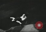 Image l'équipe de parachutistes de l'Armée américaine United States USA, 1962, de la seconde 28 séquences d'archives historiques vidéo 65675061691
