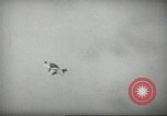 Image l'équipe de parachutistes de l'Armée américaine United States USA, 1962, de la seconde 33 séquences d'archives historiques vidéo 65675061691