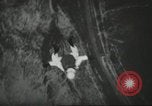 Image l'équipe de parachutistes de l'Armée américaine United States USA, 1962, de la seconde 44 séquences d'archives historiques vidéo 65675061691