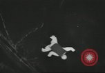 Image l'équipe de parachutistes de l'Armée américaine United States USA, 1962, de la seconde 45 séquences d'archives historiques vidéo 65675061691