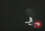 Image l'équipe de parachutistes de l'Armée américaine United States USA, 1962, de la seconde 46 séquences d'archives historiques vidéo 65675061691