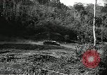 Immagine di Soldati statunitensi Il Vietnam, 1965, secondo 29 filmato di repertorio 65675061692