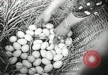 Standbild USA Soldaten Vietnam, 1964, aus Sekunde 26 historischem Filmmaterial Videoclip 65675061696