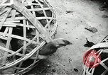 Standbild USA Soldaten Vietnam, 1964, aus Sekunde 61 historischem Filmmaterial Videoclip 65675061696