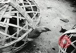 Standbild USA Soldaten Vietnam, 1964, aus Sekunde 62 historischem Filmmaterial Videoclip 65675061696