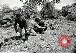 Standbild USA Soldaten Vietnam, 1964, aus Sekunde 23 historischem Filmmaterial Videoclip 65675061698