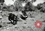 Standbild USA Soldaten Vietnam, 1964, aus Sekunde 24 historischem Filmmaterial Videoclip 65675061698