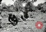 Standbild USA Soldaten Vietnam, 1964, aus Sekunde 25 historischem Filmmaterial Videoclip 65675061698