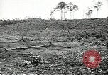 Standbild USA Soldaten Vietnam, 1964, aus Sekunde 60 historischem Filmmaterial Videoclip 65675061698