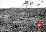 Standbild USA Soldaten Vietnam, 1964, aus Sekunde 61 historischem Filmmaterial Videoclip 65675061698