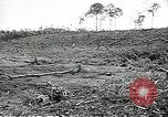 Standbild USA Soldaten Vietnam, 1964, aus Sekunde 62 historischem Filmmaterial Videoclip 65675061698
