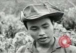 Image of United States soldiers Vietnam, 1964, second 48 stock footage video 65675061699