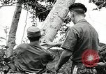 Image of United States soldiers Vietnam, 1964, second 56 stock footage video 65675061699