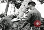 Image of United States soldiers Vietnam, 1964, second 57 stock footage video 65675061699